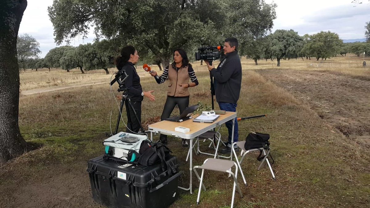 SynerTGE's tweet photo. Los informativos de Antena 3 graban las actividades científicas de Speclab-@CSIC en la dehesa extremeña.
National TV news reporting Speclab-CSIC scientific activities in a typical dehesa in Extremadura. https://t.co/g3dDdU6IJs