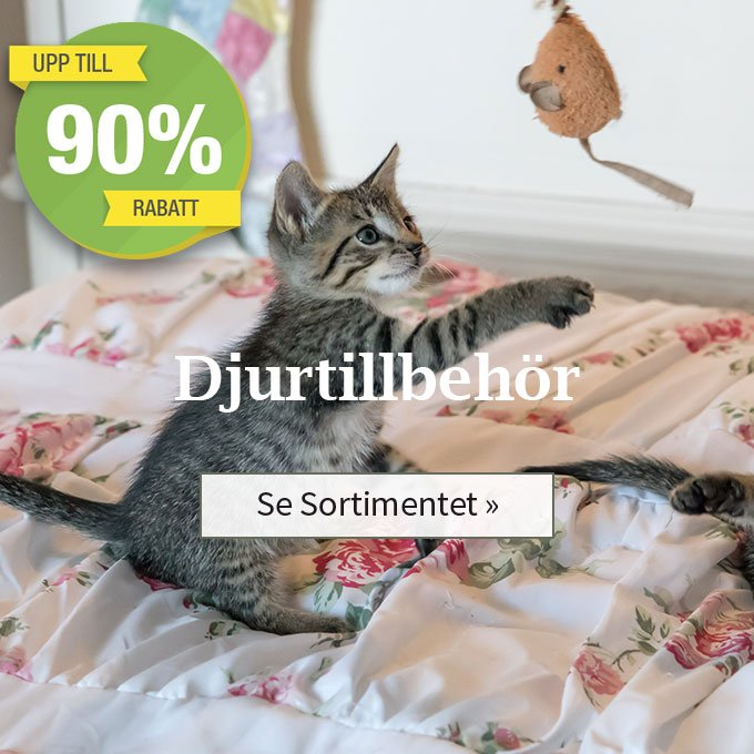 Smartster Picks! - mailchi.mp/smartster/smar…