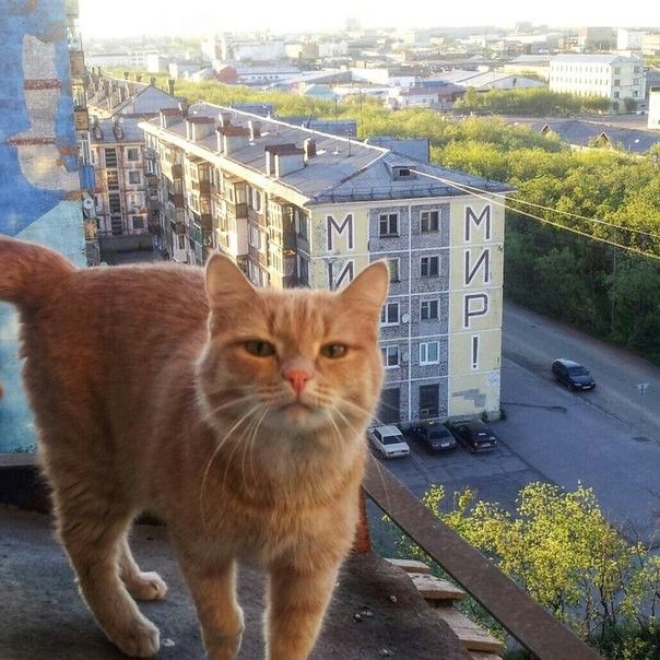 Воркута

автор не установлен