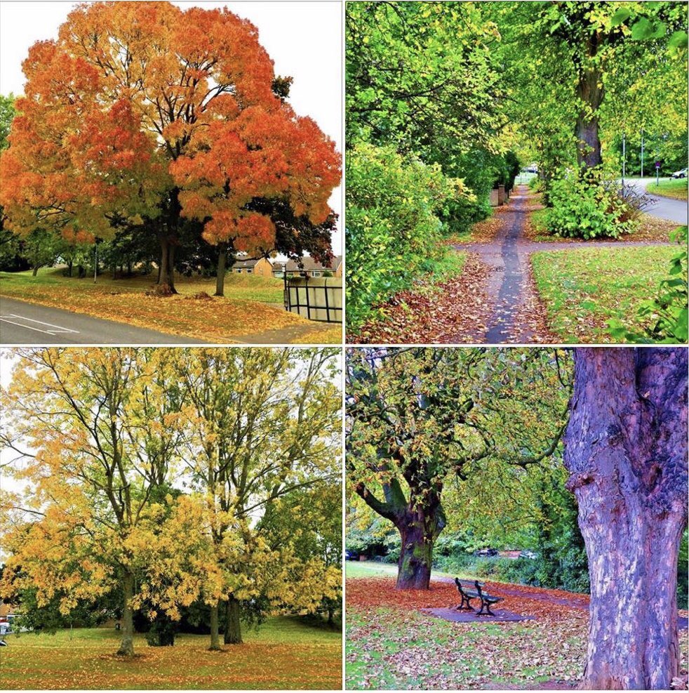 daventryhistory's tweet photo. Some beautiful pictures of Daventry taken by our good friend Alex Donohue, come and see more on our group on Facebook #Daventry #DaventryinHistory https://t.co/RQtWoahjyr