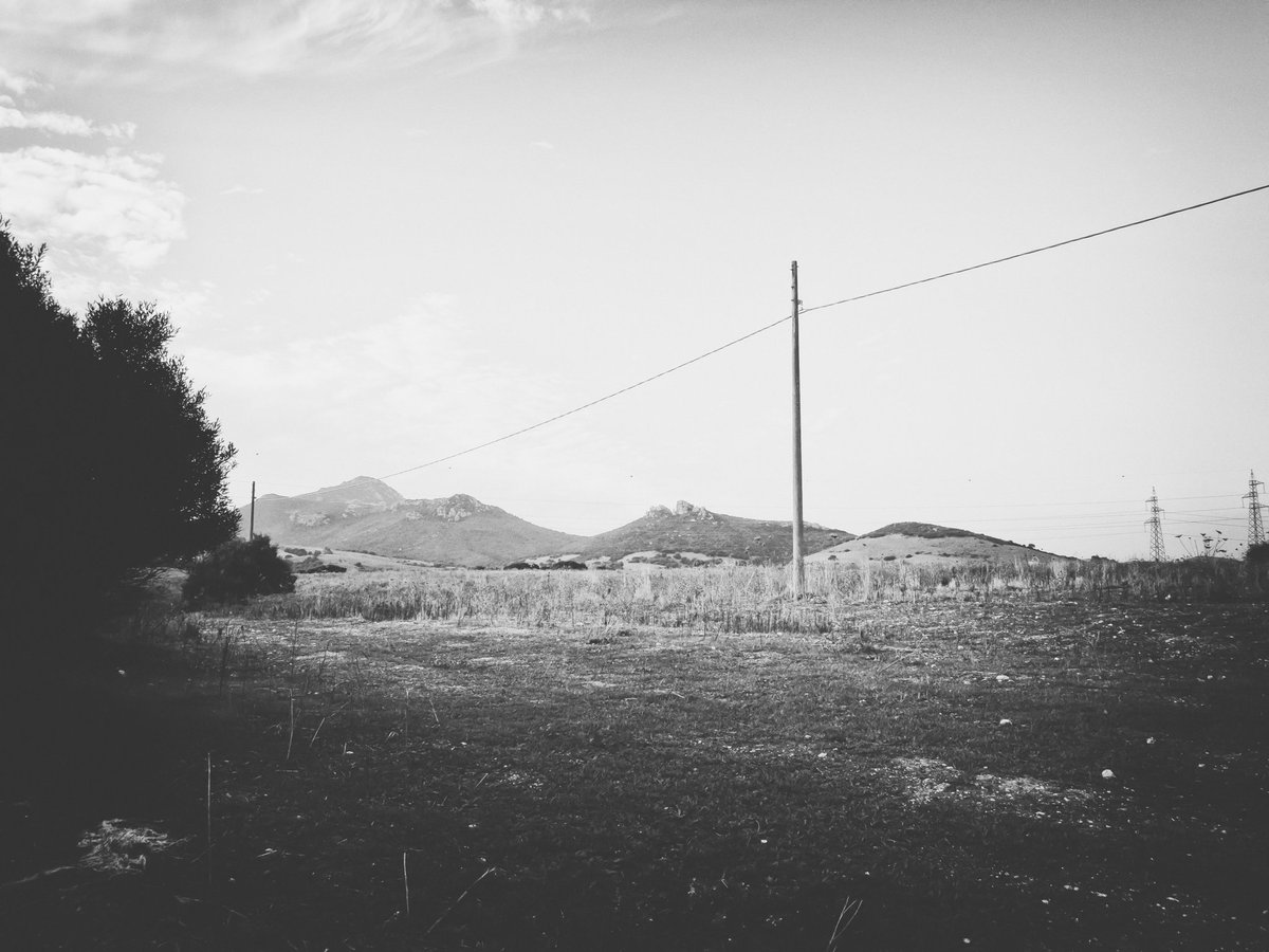 gavinobazzoni's tweet photo. Campagna elettrica
#blackandwhitephotography
#fog #fogday #hills #nebbia
#colline #day #monochrome
#mono #monostyle #biancoenero
#photography #photographictime
#sardinia #sardegna #Blackandwhitephotos #electricland https://t.co/pOFHhCEZEn