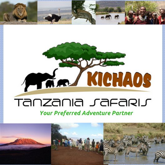 #Tarangirenationalpark #Tanzania #Safari #Africa #Wildlife #kichaostanzaniasafaris #Dreamholiday #Big5 #Safariafrica #Serengeti #SafariTanzania #PrivateSafari #Luxurysafari #BasicSafari #Africansafari #Serengeti #Ngorongoro #BudgetSafari #KilimanjaroClimbing