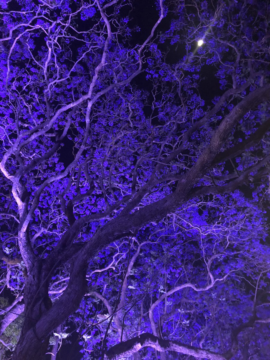 Anna Gemmell Ph.D tweet media