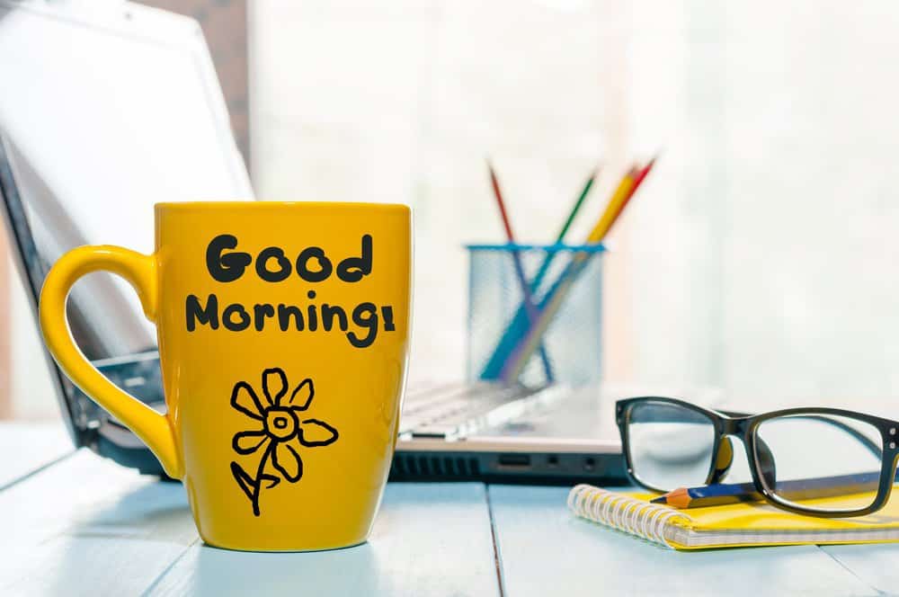 oumaima_hamdi's tweet image. 