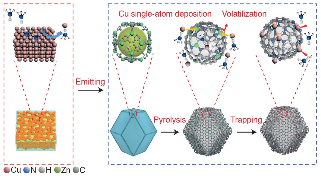 Carbon-based single-atom catalysts are prepared directly from bulk metals under an ammonia atmosphere, which exhibit high activity towards the oxygen reduction reaction.
go.nature.com/2NPN1Or ($)