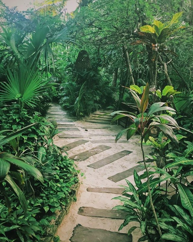BeTulumHotel's tweet image. Forked paths: One leads to happiness, and the other also.⠀
.⠀
#BeTulum #BoutiqueHotel #Be #BeUniverse #BeUnique #Mexico #Tulum @marisol_alba_frausto⠀