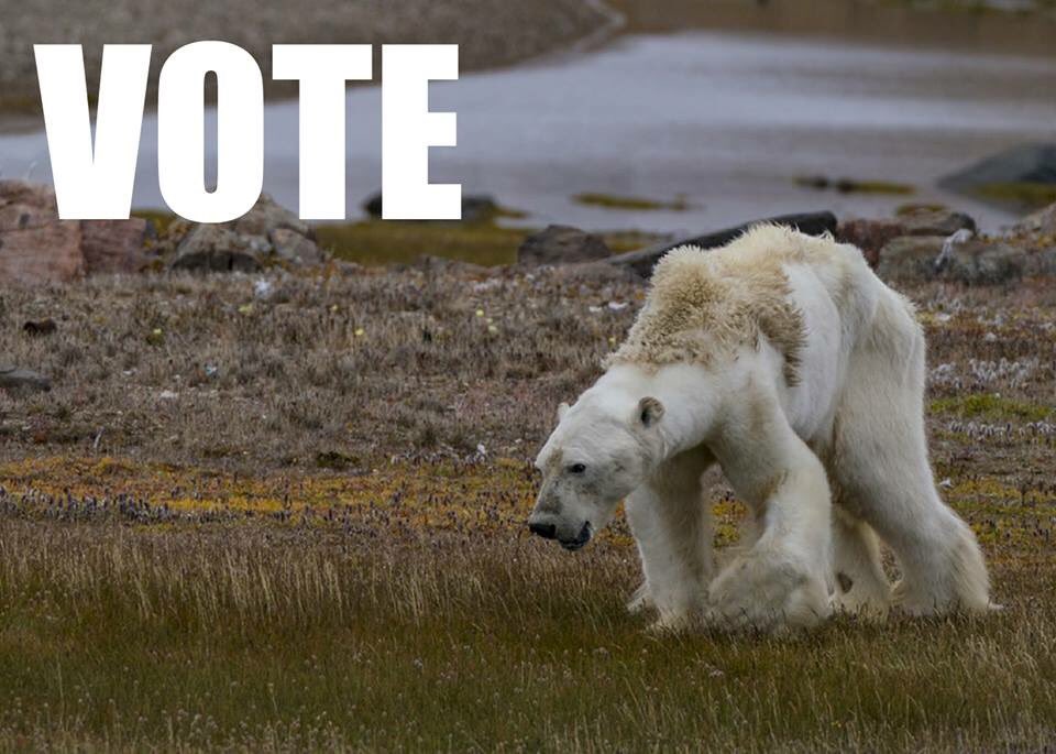 buy memories of jewish