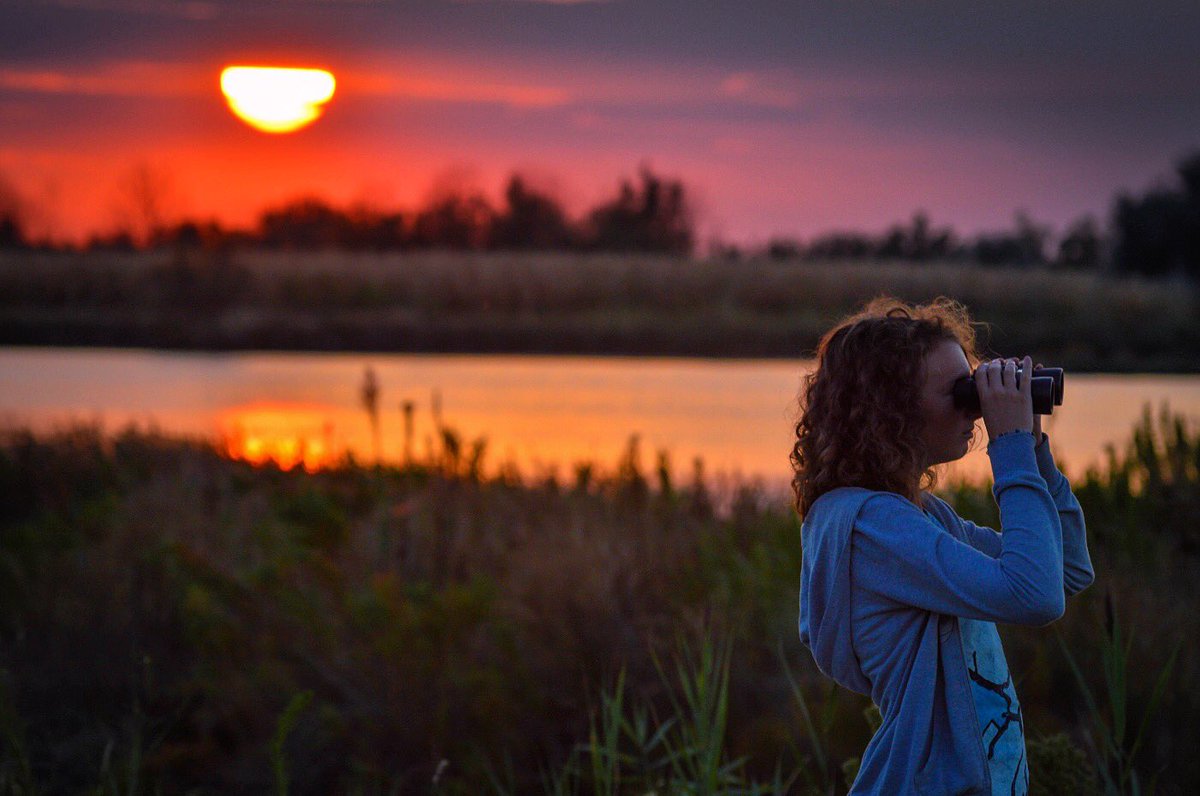 La magia di Cavallino, la sua laguna ti rapisce con i suoi colori! #visitcavallino #cavallinotreporti