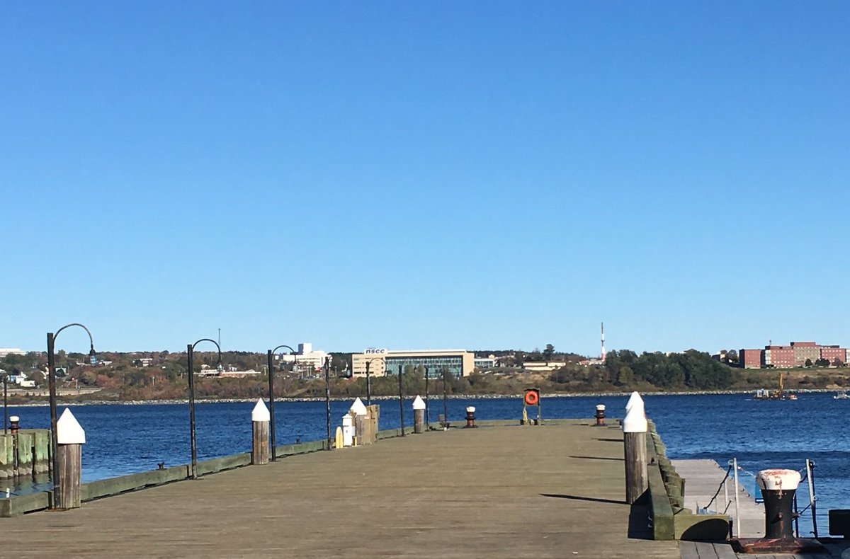 LostCousinsBand's tweet photo. It’s so nice in Halifax rn 😍#HalifaxPopExplosion https://t.co/AQBxPEygZr