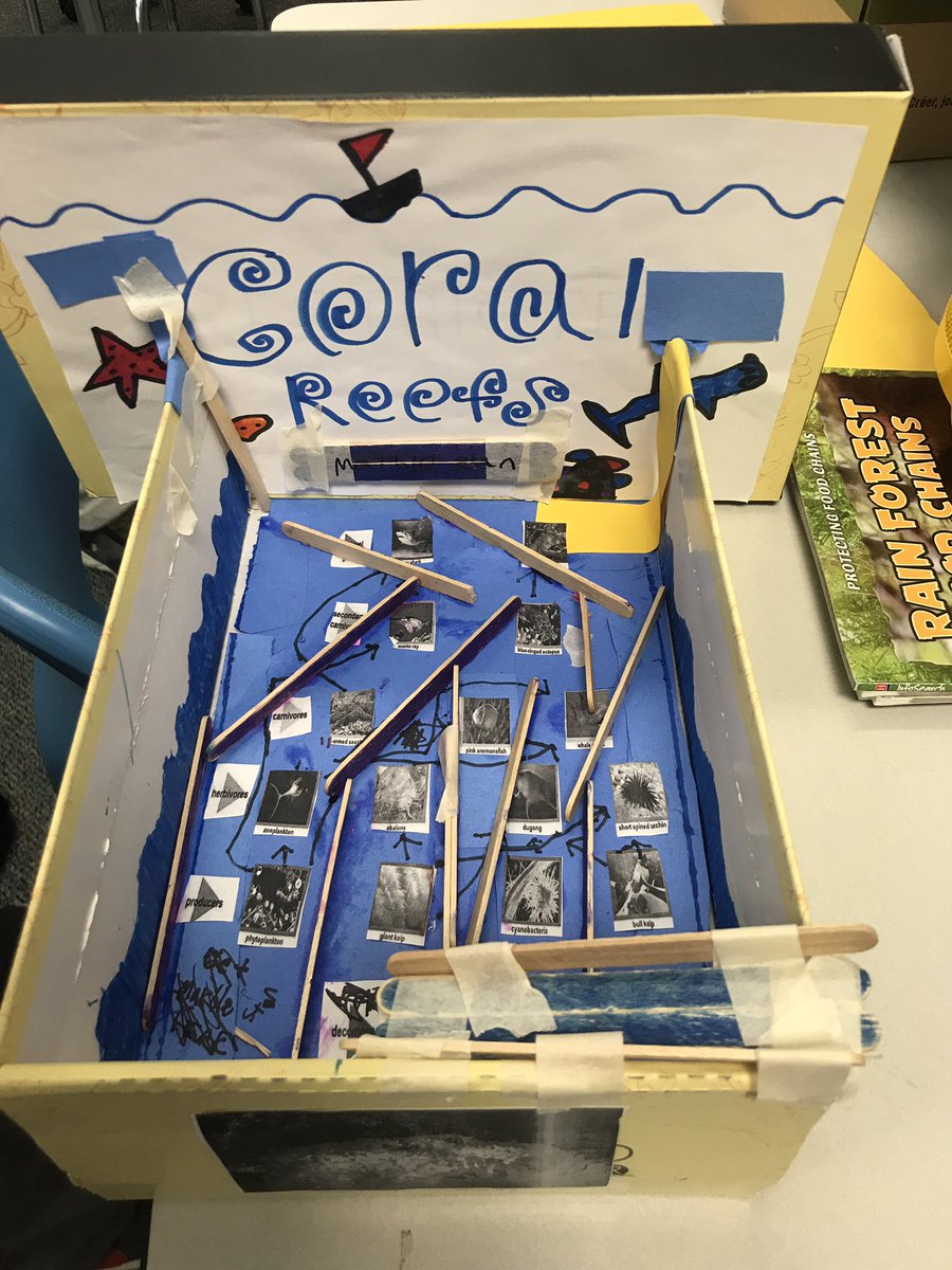 Kristen Hackbarth tweet media