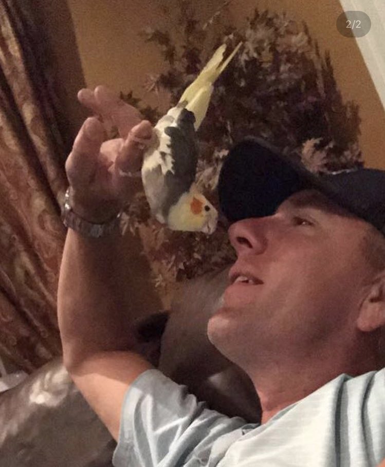 gracestevie14's tweet photo. MISSING BIRD!!!!!! Last seen flying over Orleans neighborhood. Keep an eye out for her. She’s very colorful and has a very high pitched whistle. #FindSunny https://t.co/YHwykKdHWI