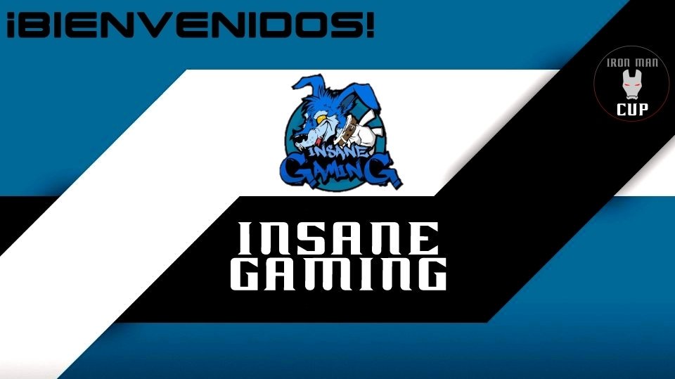 ¡Demos la bienvenida a Insane Gaming!
(11/32)