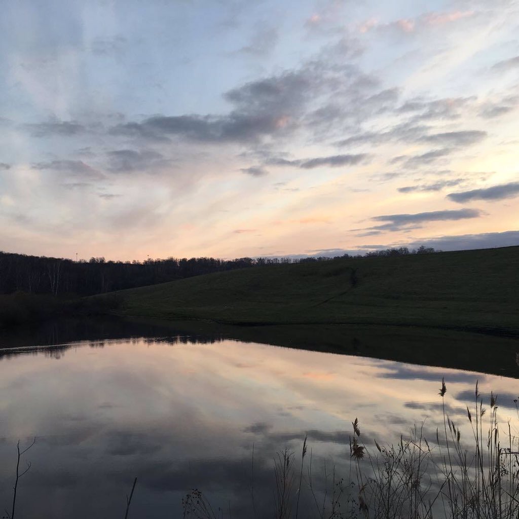 . (@7livex) on Twitter photo 