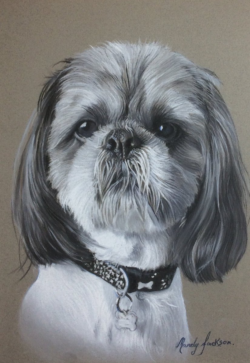 magichand9's tweet photo. #art #artist #drawing #pencilart #pastel #medium #artistsoninstagram #portrait #artwork #animals #instaart #ArtistOnTwitter #shitzu #petsunite #dogsofinstagram https://t.co/gcBxSpbO53
