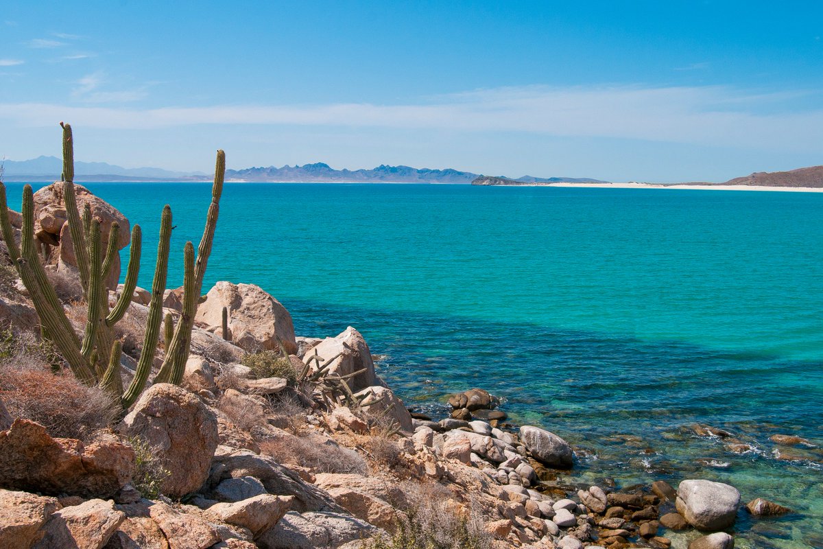 ICFDN's tweet photo. Happy Friday! We love driving down for a weekend to enjoy Baja California's natural beauty. Where are you headed outside this weekend? #ICFDN #Environment https://t.co/zJpO9FxiNF