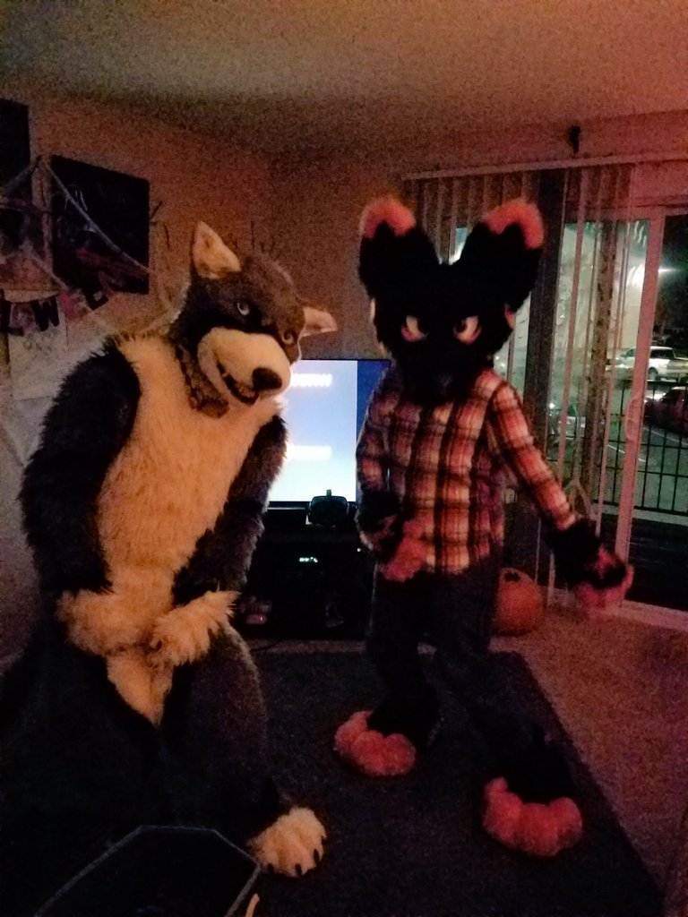 It's a Halloween dance-off party thing!! Spooky musics, frightening foodstuffs, and ghastly gambols await! Care to join us? 😁💙

Happy #FursuitFriday!!
#fursuit #halloween
📸:@MaikohG