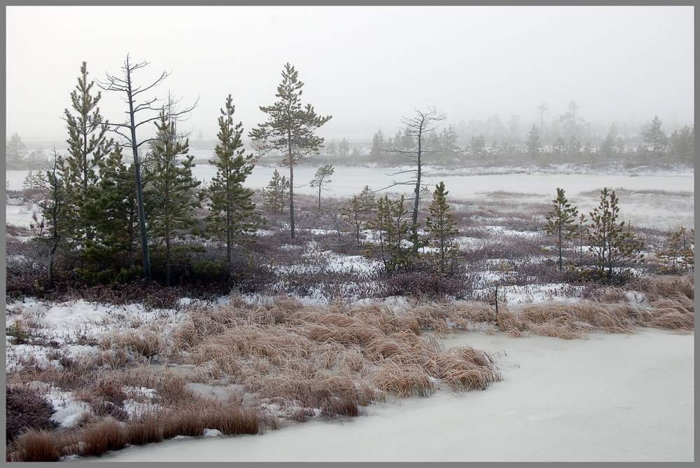 ханты мансийский в ноябре