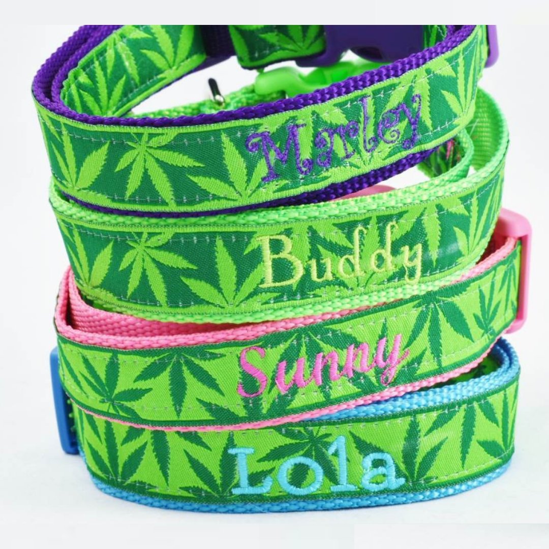 SassyDogCat's tweet image. Be cool and support legalization of pot with this #Dog #Collar available in large and extra large sizes. It shows total class and sophistication for you as well as your dog. HURRY! Grab one now! ow.ly/oCYE30lQxkE