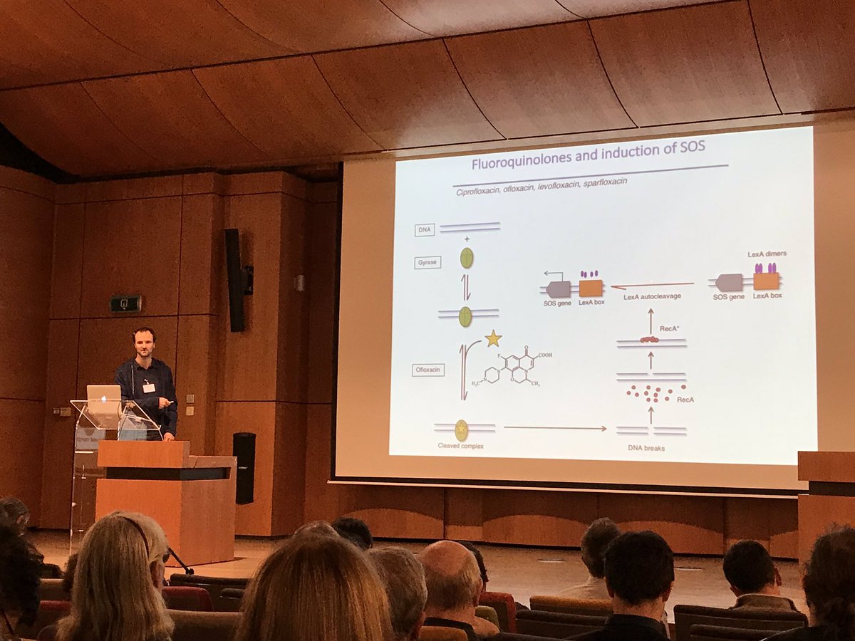 HallezLab's tweet photo. Frédéric Goormaghtigh from Laurence Van Melderen lab is now talking about single-cell imaging and characterization of Escherichia coli type II persister cells #BSM2018 https://t.co/JLgYxSLE9g