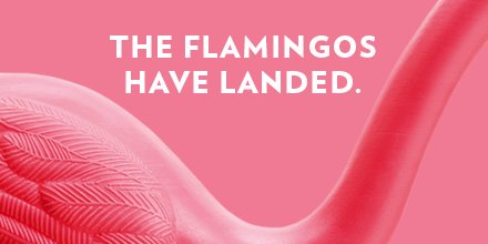 UWBusiness's tweet image. When you say yes to Fill the Hill, you’re saying yes to @UWMadison students and the future of your university. #UWFlamingos bit.ly/twitterfth18