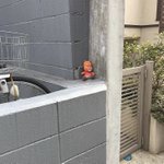 落とし物を避難させる!「善意のはやにえ」の記録!