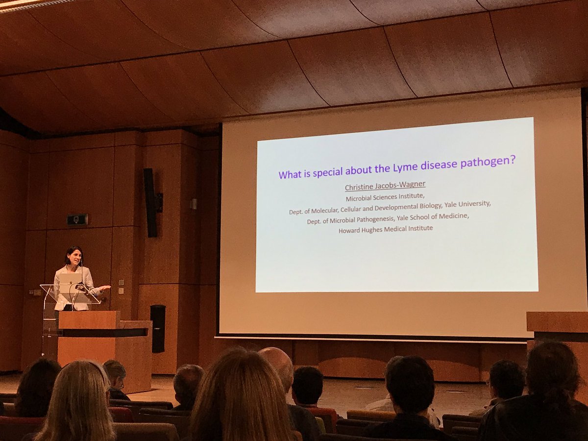 HallezLab's tweet photo. And now the last but not the least speaker of #BSM2018 Christine Jacobs-Wagner who will not talk about the best bacterial model #Caulobacter :) but about the Lyme disease pathogen https://t.co/i9yddNltwN
