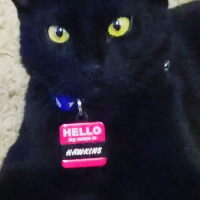 Queen City Flash tweet media