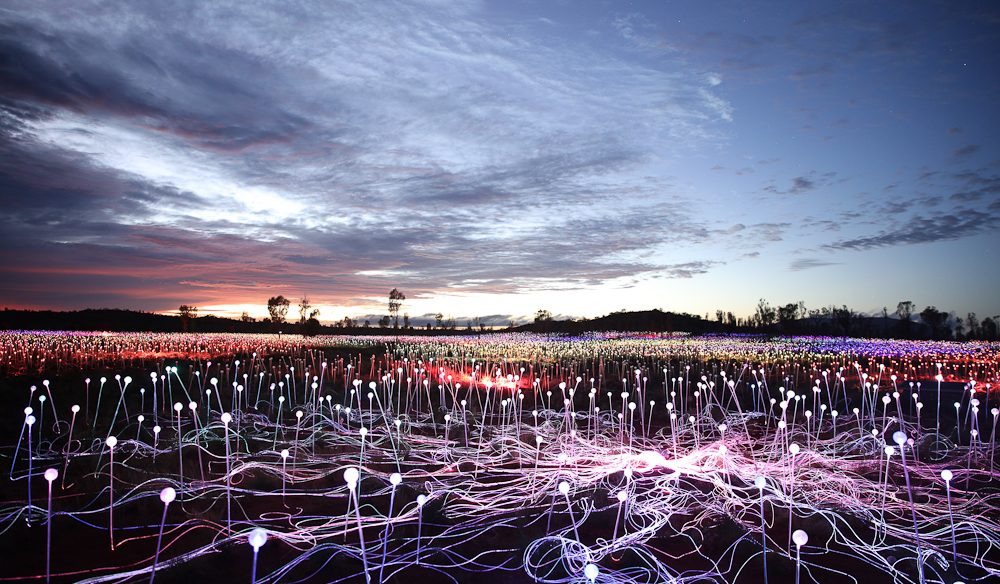 adamsandbutler's tweet photo. Visit the stunning Field of Lights in Uluru, Australia. This is a one-off light-based installation created by British artist Bruce Munro, which can be visited until December 2020. #fieldoflights #lightbasedinstallation #australia #brucemunro https://t.co/jFiHAIIMpW
