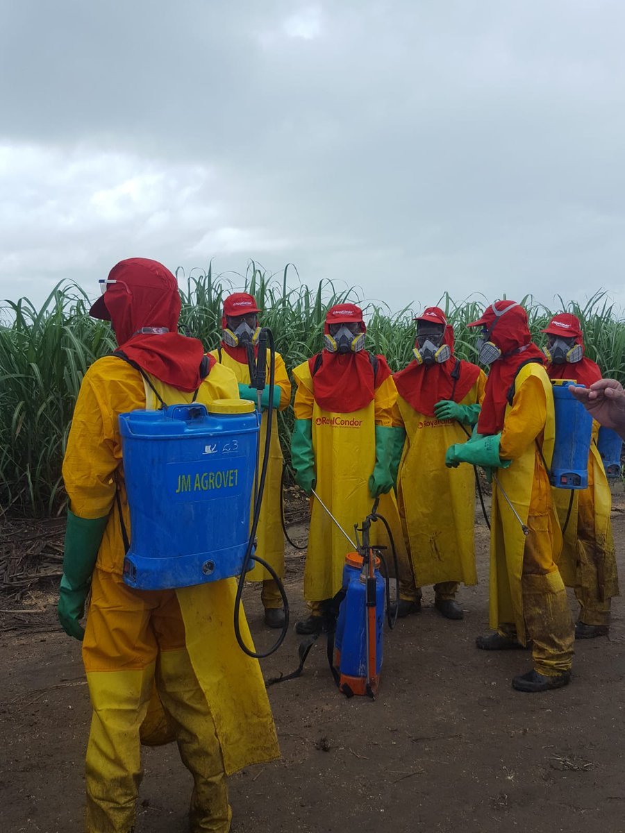 Bonsucro's tweet photo. #TechnicalWeek in the #DominicanRepublic is wrapping up today - thanks to all of the fantastic participants and to @CAEIrd for the excellent field trip to see the Bonsucro certified Cristóbal Cólon mill & farms. #sugarcane #sustainability https://t.co/2NqD53svih