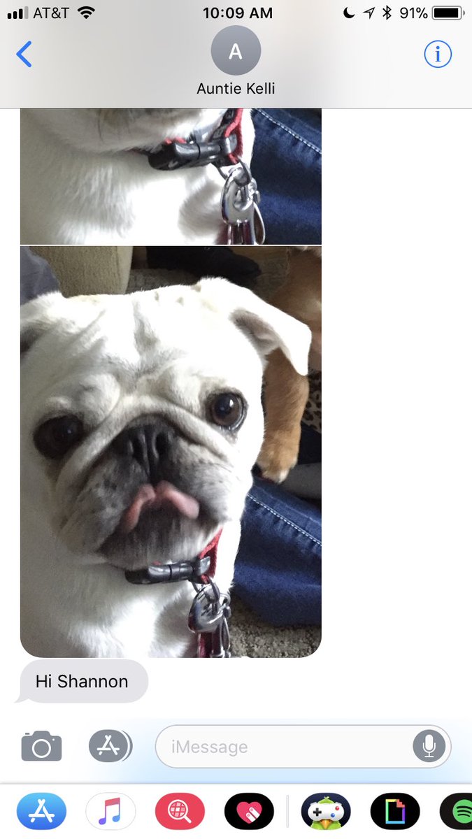 smorrills's tweet photo. This the kind of emotional support I’m looking for https://t.co/mh714MVsIv