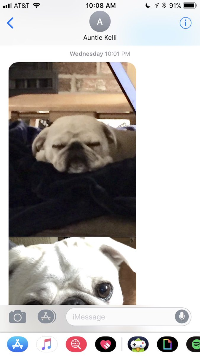 smorrills's tweet photo. This the kind of emotional support I’m looking for https://t.co/mh714MVsIv