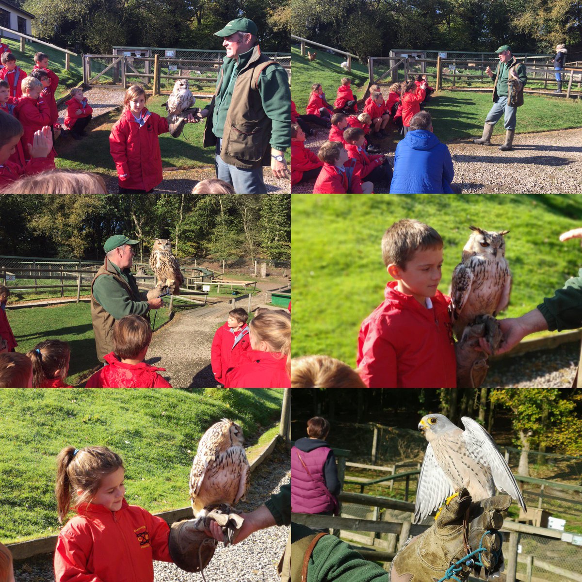 BamptonSCH's tweet photo. Some of the amazing animals we saw at Tamar Otter Park! Watch the children’s reaction to smelling the polecat x ferret! #cornwall2018 https://t.co/39ci6LNdOA