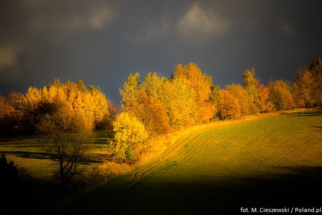 Poland's tweet photo. Sparsely populated and picturesque Owl Mountains are home 🏡 not only for owls 🦉, but also for other animals.
Come here to see: badger 🦡, deer 🦌, black stork or fire salamander . And spend unforgettable #WeekendInPolska. https://t.co/qW1b7WiAVD