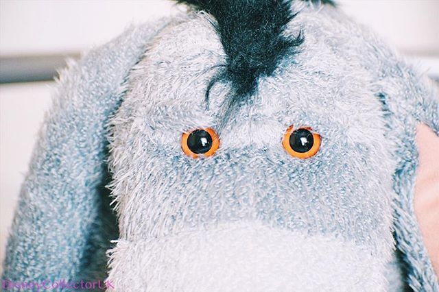 TheDisneyCastle's tweet photo. Currently at work but it’s quiet today so I’m bored haha. Here’s an old photo of Eeyore’s gorgeous eyes! 
#Eeyore #Disney #WinnieThePooh #ChristopherRobin #DisneyUk #cute #eyes #disnerd #disneymerch #disneycollector #disneycollection #disneylove #disneyworld #disneyland #dis… https://t.co/zDXdooWcqL