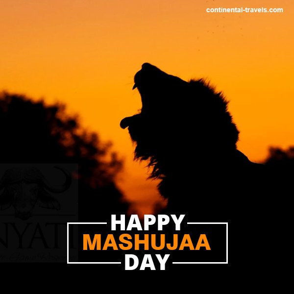 ContinentalTrv's tweet photo. As we celebrate our heroes and heroines on this day, we wish to thank you for choosing to experience the beauty of Kenya with us.

#HappyMashujaaDay https://t.co/KUt3kwcyhe
