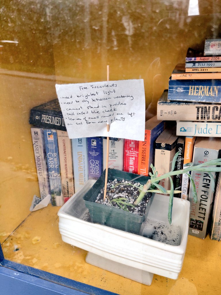 LittleFreeLib's tweet image. Little free greenhouse?