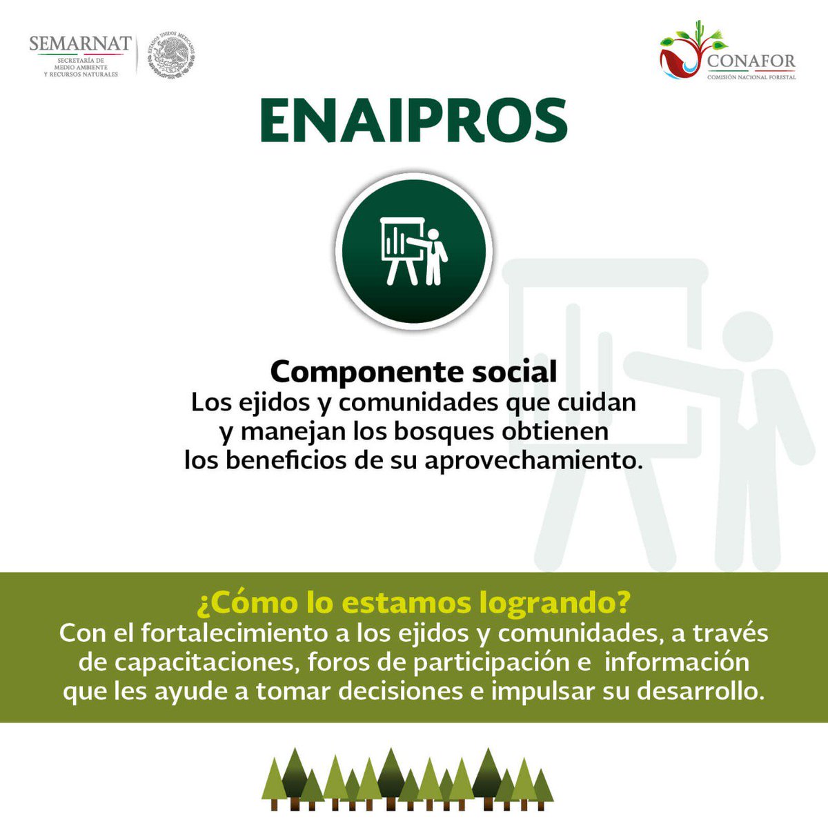 CONAFOR's tweet photo. 👉🏽La participación social es fundamental para que se llegue a las metas de la Estrategia #ENAIPROS, por ello las comunidades, ejidos y propietarios son parte de los componentes de este programa de @CONAFOR. 👨🏽🌾🌳👩🏽🌾 https://t.co/htHoClq3VL