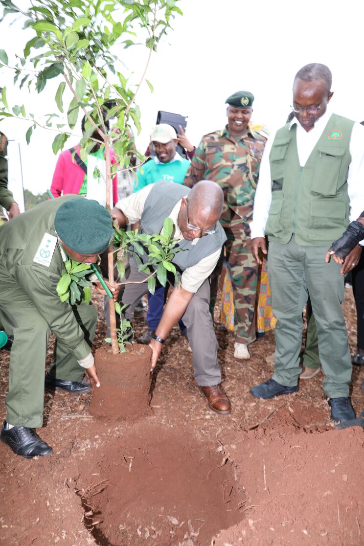 Environment_Ke's tweet photo. Through the participation &amp; commitment of the National and County Governments, land owners, the private sector communities &amp; the civil society,, Kenya will be able to move rapidly towards achievement of the constitutional target of 10% National forest cover.@ngcc_ke @kwtaagency https://t.co/gz7lt0lzcA