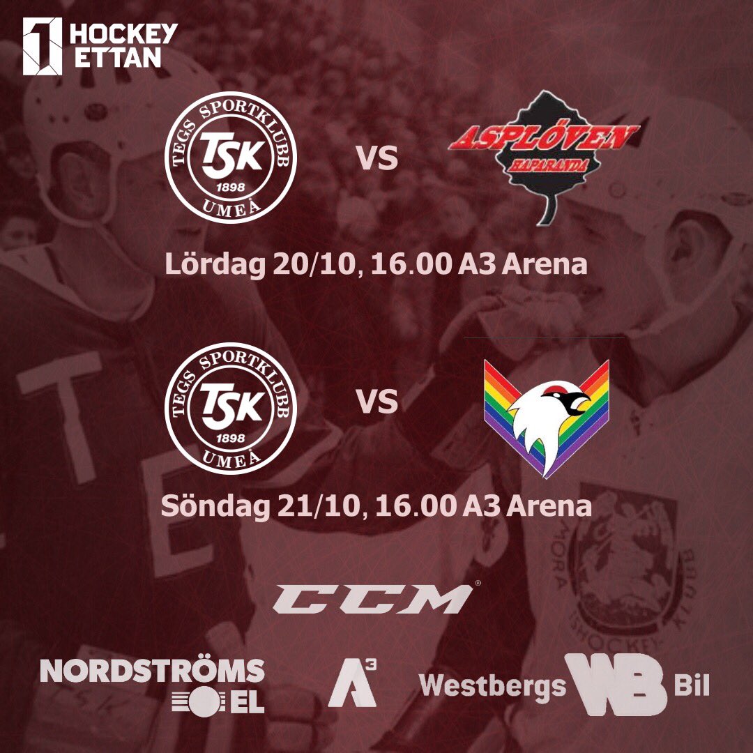 tegsskhockey tweet picture