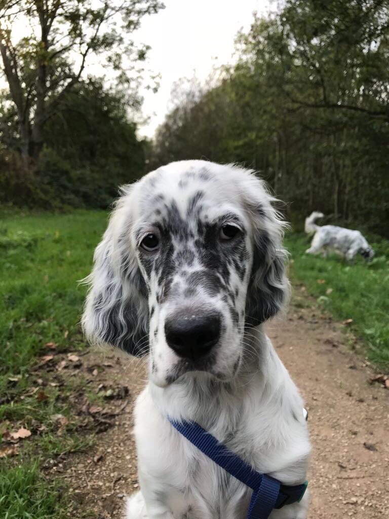 Sabine van der Eijk tweet media