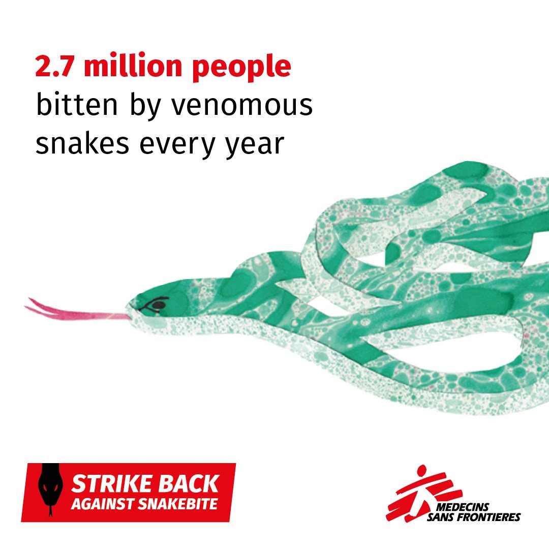 It happened yesterday.
It happened today.
It will happen tomorrow.

Every year, we treat thousands of victims of #snakebite.

What you need to know: msfaccess.org/snakebite