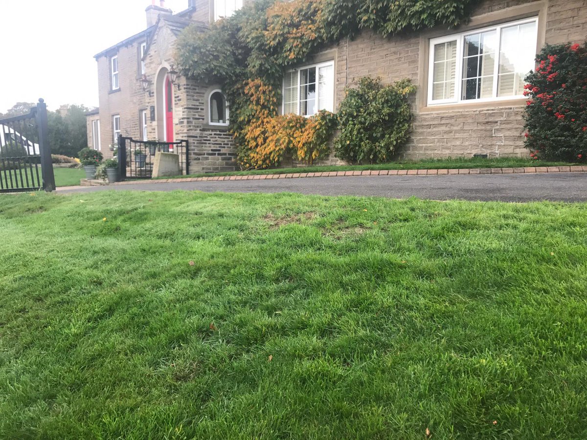 GRASSLAWNS's tweet photo. Our artificial grass is looking amazing in thiscustomers garden! If you want to find out more about how to transform your garden into a Yorkshire Artificial Lawn, give us a call on 01484 469600! #FridayFeeling https://t.co/1bVjcKCyHy