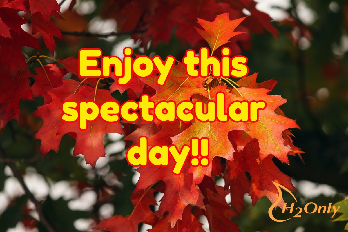 h2only's tweet image. 