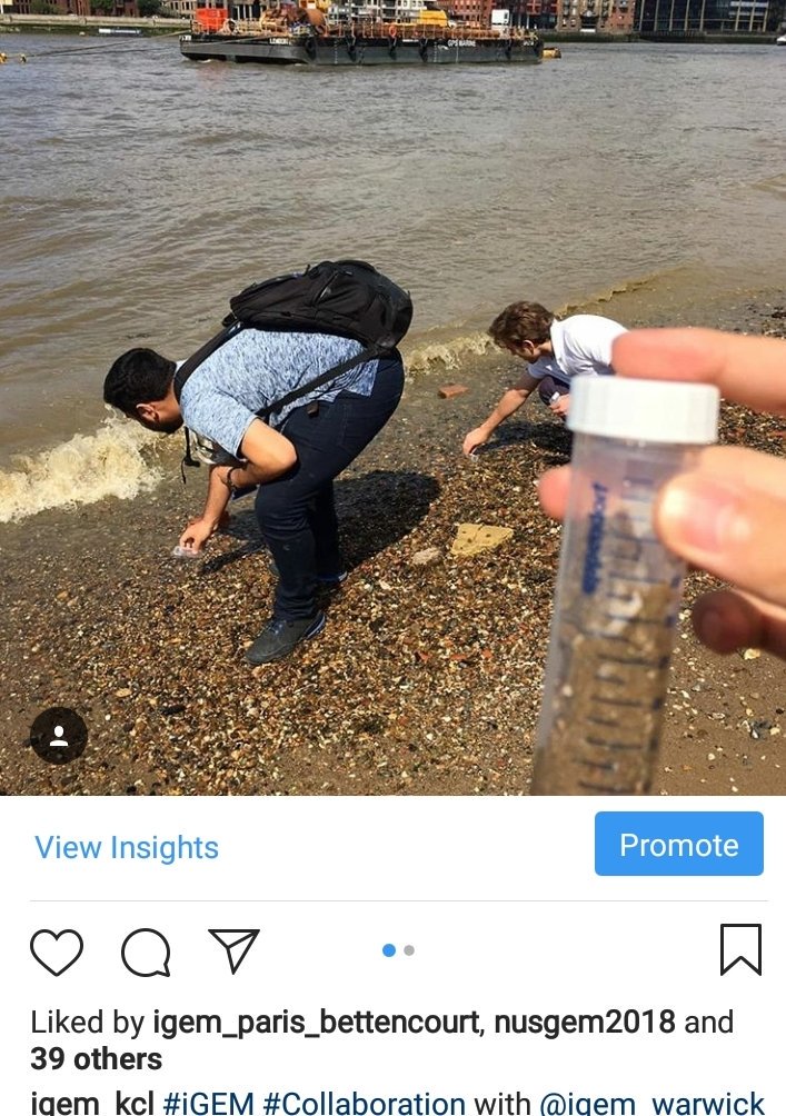 KCL_iGEM tweet media