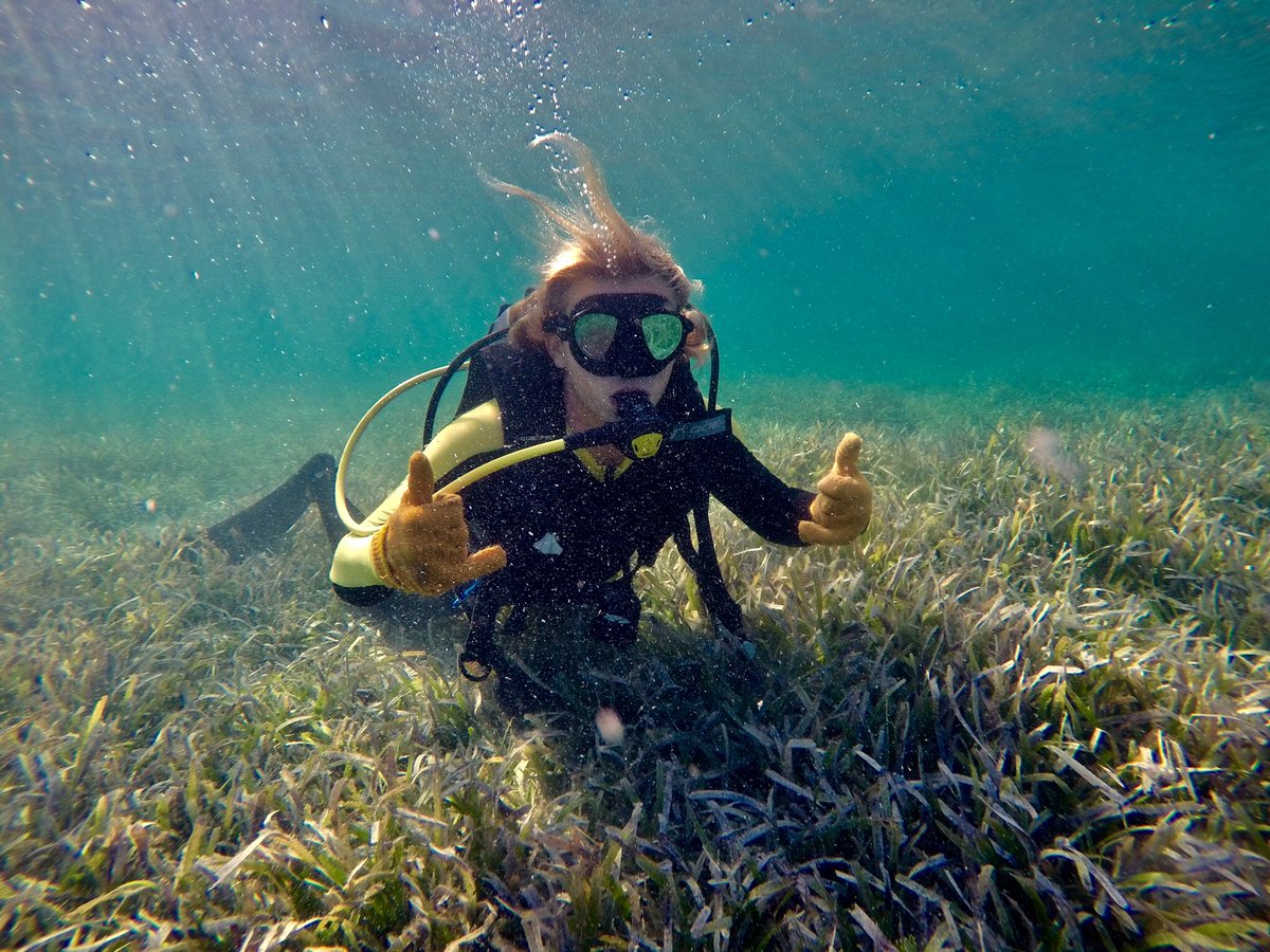 sam_stokesy's tweet photo. #PlymMBIO Investigating the impact of predation and climate on turtle grass (Thalassia) growth rates. Did you know, annually Seagrass’s are responsible for the removal of approximately 83 million tonnes of carbon dioxide from the atmosphere. https://t.co/MMqCyMTXdj