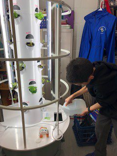 RockhillES's tweet photo. Weekly water test and refill of the tower garden.
#RESLearnLeadSucceed #RESwellness https://t.co/xWlIUvEvgx