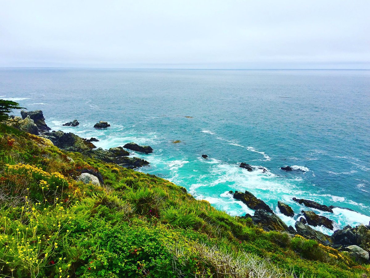 otavTravelBlog's tweet photo. Devil's Slide in Pacifica California has breathtaking views!
Please follow our travel blog for updates on our trips. https://t.co/zUdhXOnRPO
#OrdinaryTravelers #AmazingVacations #OrdinaryTravelersAmazingVacations #Travel #otavTravelBlog #devilsslide #pacifica #california https://t.co/IikBvbvDwP