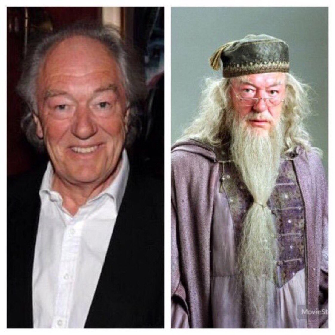 October 19: Happy Birthday, Michael Gambon! He played Albus Dumbledore in the last six films. 