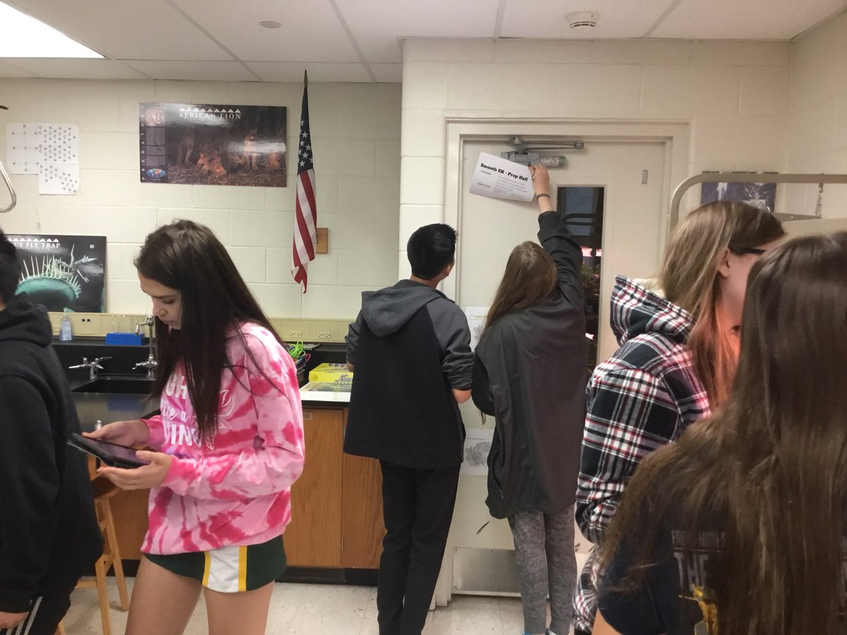 MrsGiegler's tweet photo. In a scavenger hunt for organelles! #cellfun #learning #biorocks @FremdVikings https://t.co/1rU0KEsLs1
