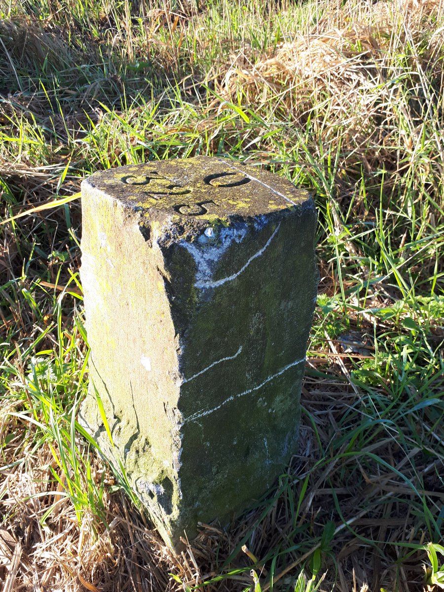 R__Lots's tweet photo. Vandaag op pad geweest om de Limietpalen langs de Kromme Rijn tegen verdere beschadiging te beschermen, @Waterlinie_NHW @HDSR_waterschap @gembunnik @WaterHeritageNL https://t.co/e8MVXK1Rq3